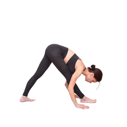 Pyramid Pose Parsvottanasana 10 Steps Benefit Sharpmuscle